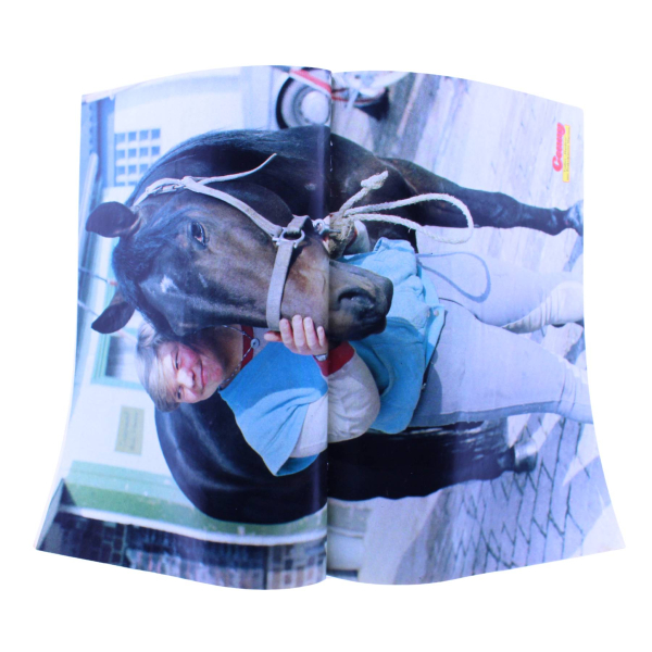 Conny Comic Nr. 233 1985 Bastei kaufen | Pferde Comic Klassiker | hoppla-stuff.de